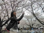 桜を愛でる人、2010